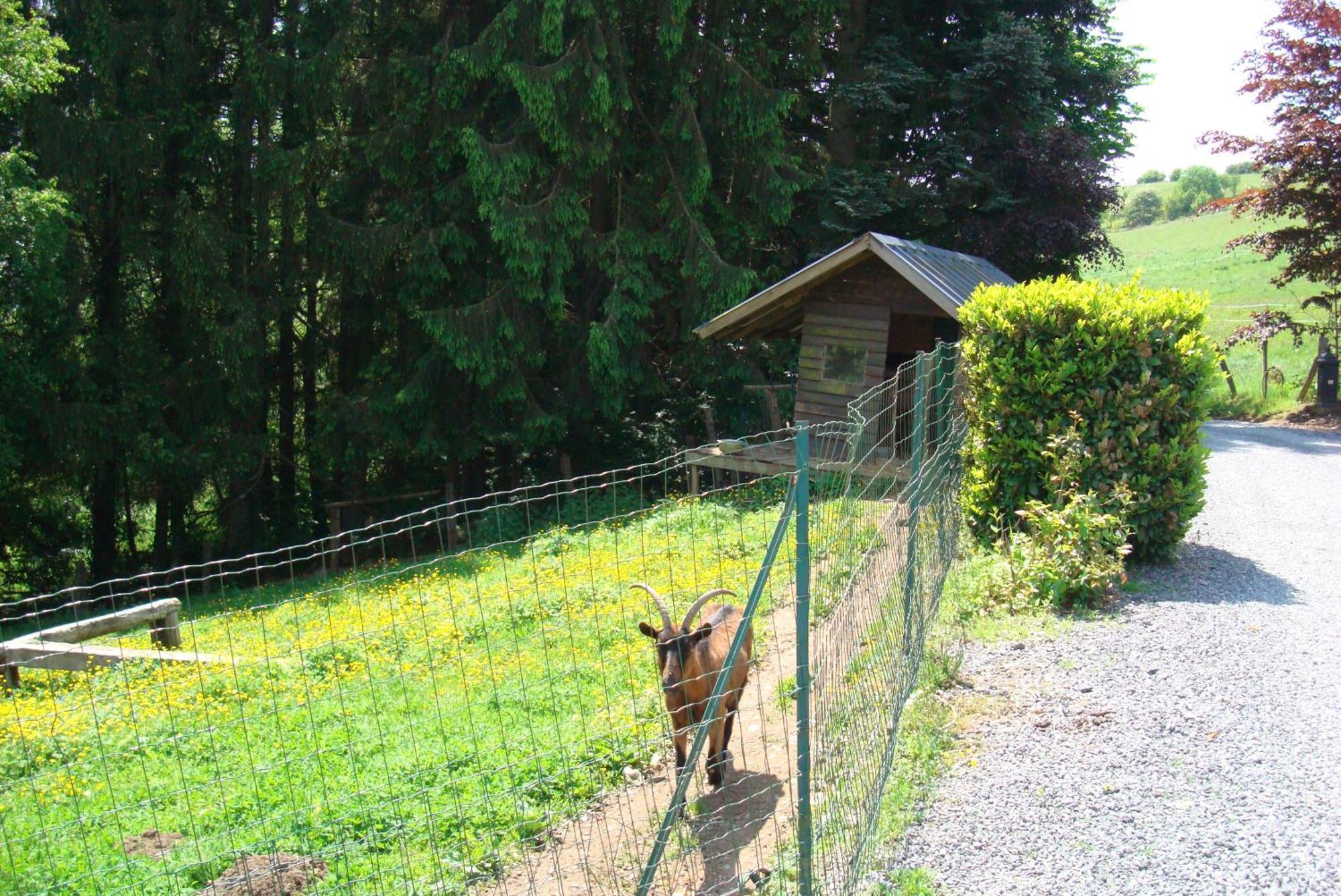 Gite La Gernelle Bouillon Luaran gambar